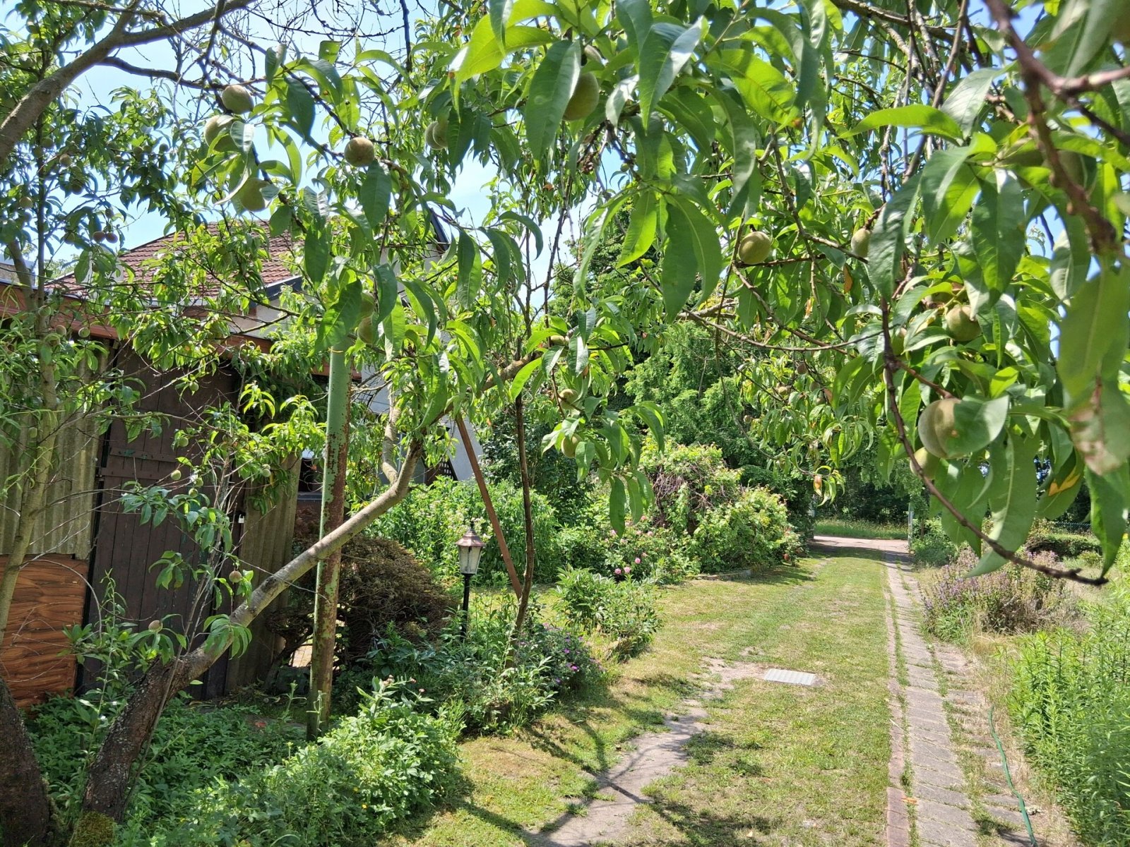 Attraktives Baugrundstück im Osten von Stendal, teilbar Attraktives Baugrundstück im Osten von Stendal, teilbar