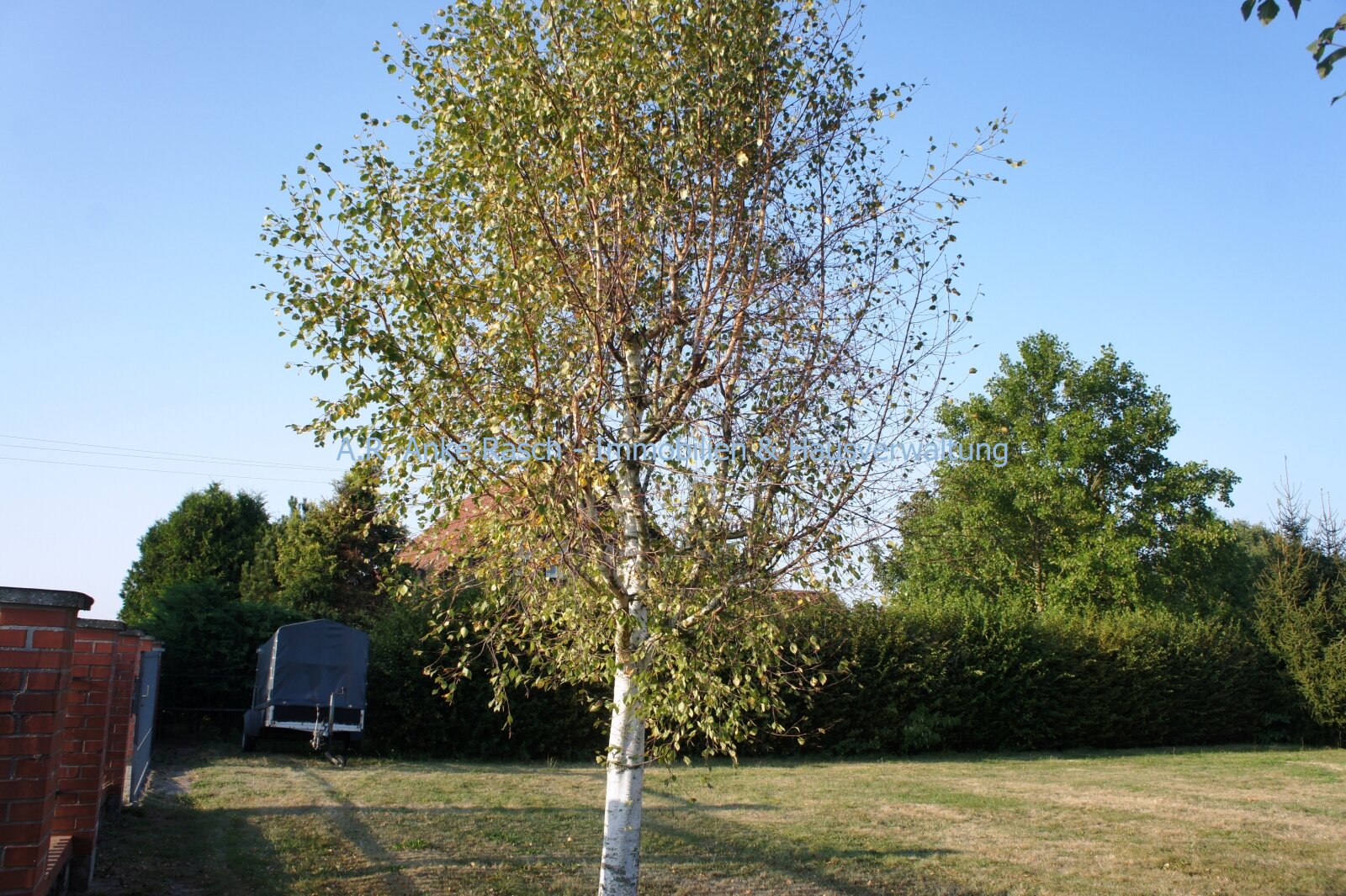 Grundstücksbereich Bauland